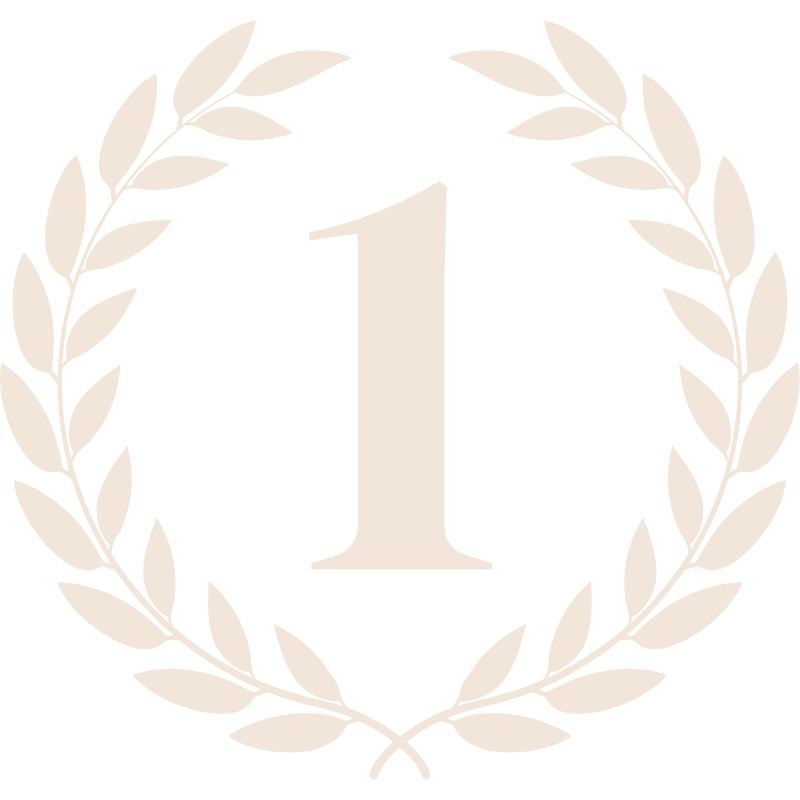 Ícone para 1 Ano de História